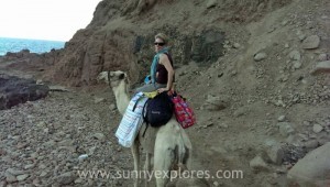 Diving in Dahab 22