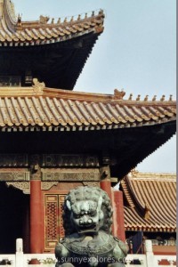 China 7