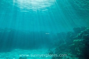 Sunnyexplores Dahab 2016-14