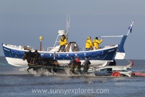 Sunnyexplores Ameland 3