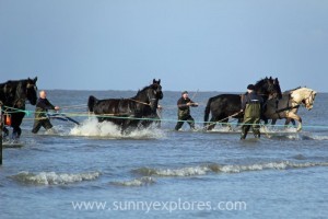 Sunnyexplores Ameland 4