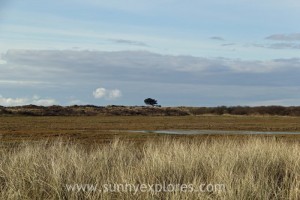 Sunnyexplores Ameland 7