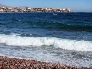 Sunnyexplores Dahab (12)