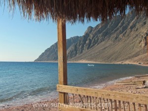 Sunnyexplores Dahab (14)
