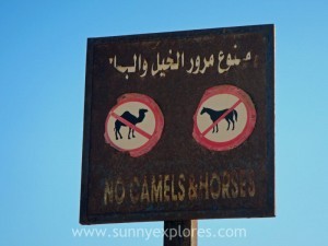 Sunnyexplores Dahab 20