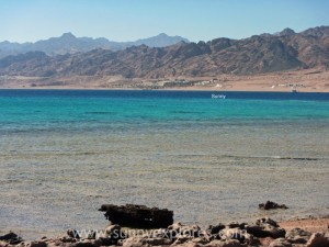 Sunnyexplores Dahab (4)