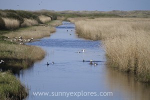 Sunnyexplores Vlieland 2016 (14)