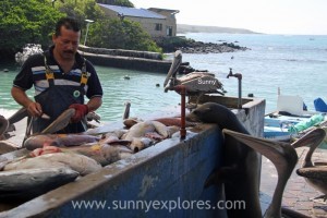 Sunnyexplores Galapagos 5kopie