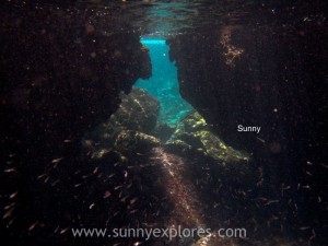 Snorkling Galapagos (16)kopie