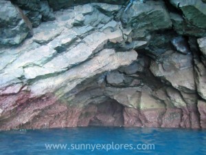 Snorkling Galapagos (17)