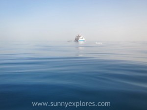 Sunnyexplores Sataya 2016 (3)kopie