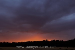 Sunnyexplores Veluwe 11