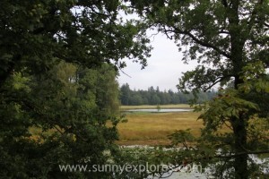 Sunnyexplores Veluwe 7