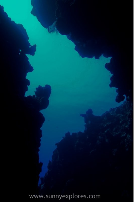 sunnyexplores-diving-2